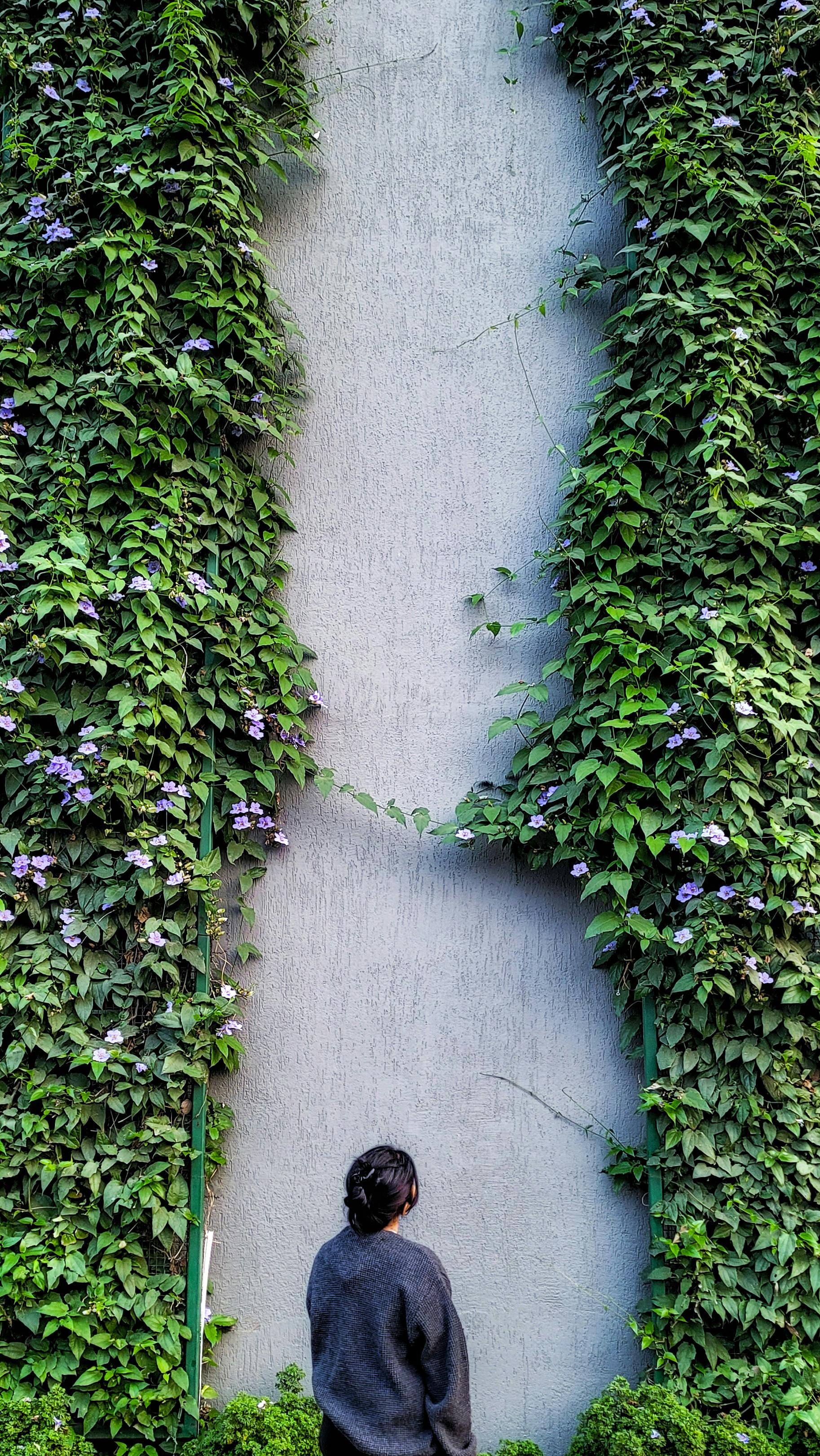 lady facing a wall