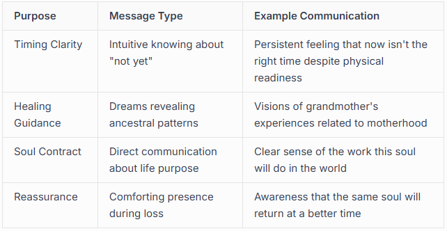 The Spiritual Purpose Behind Spirit Baby Messages