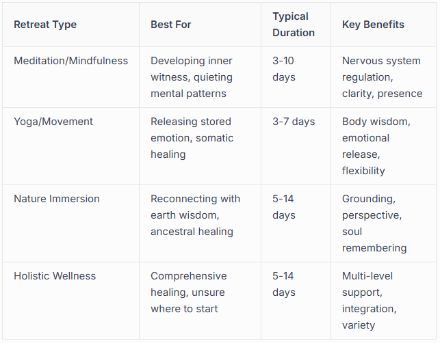 Holistic Wellness and Healing Retreats