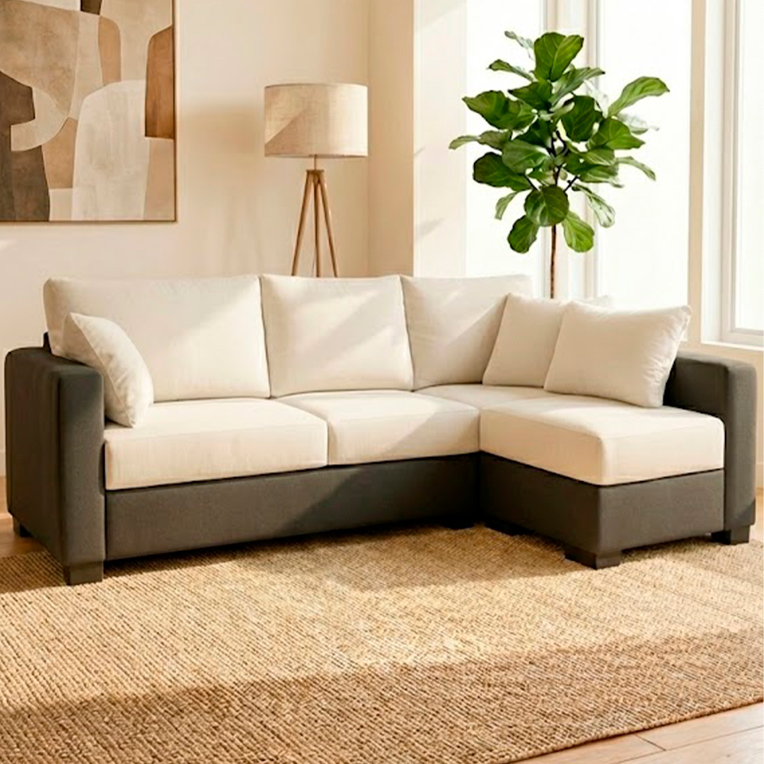 Juego de Sala Standard JS08