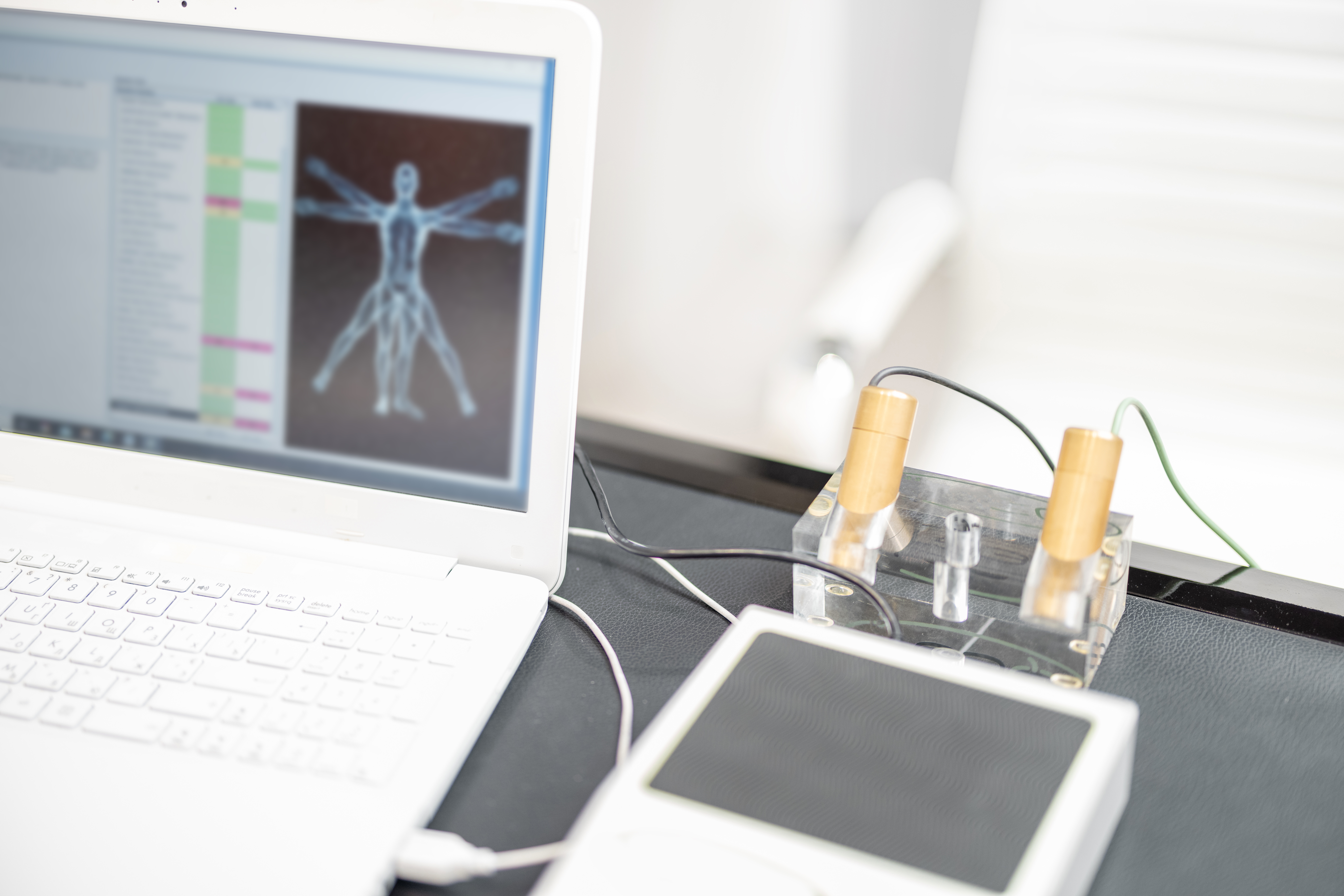 Holistic cellular wellness
