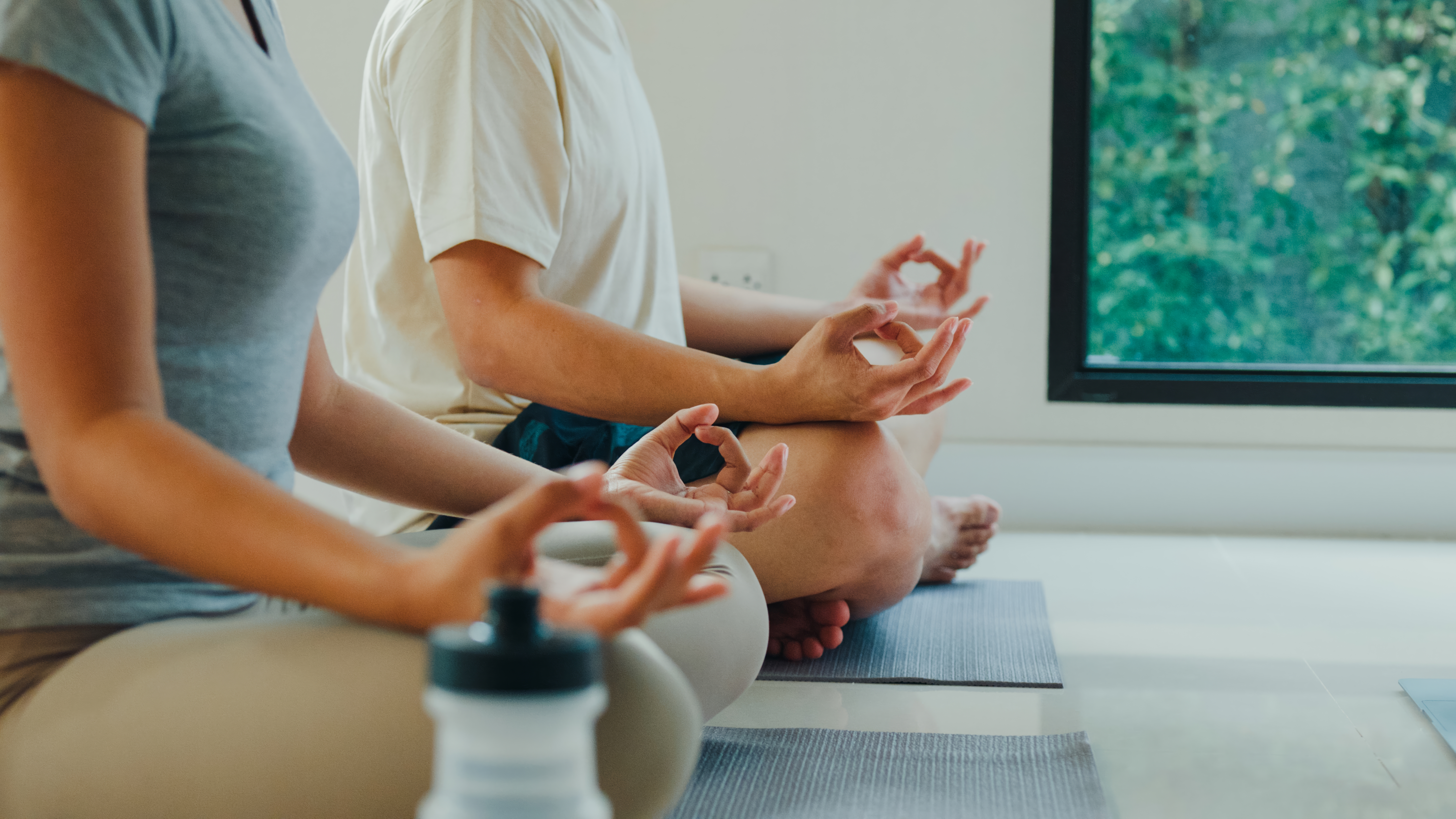 Longevity wellness