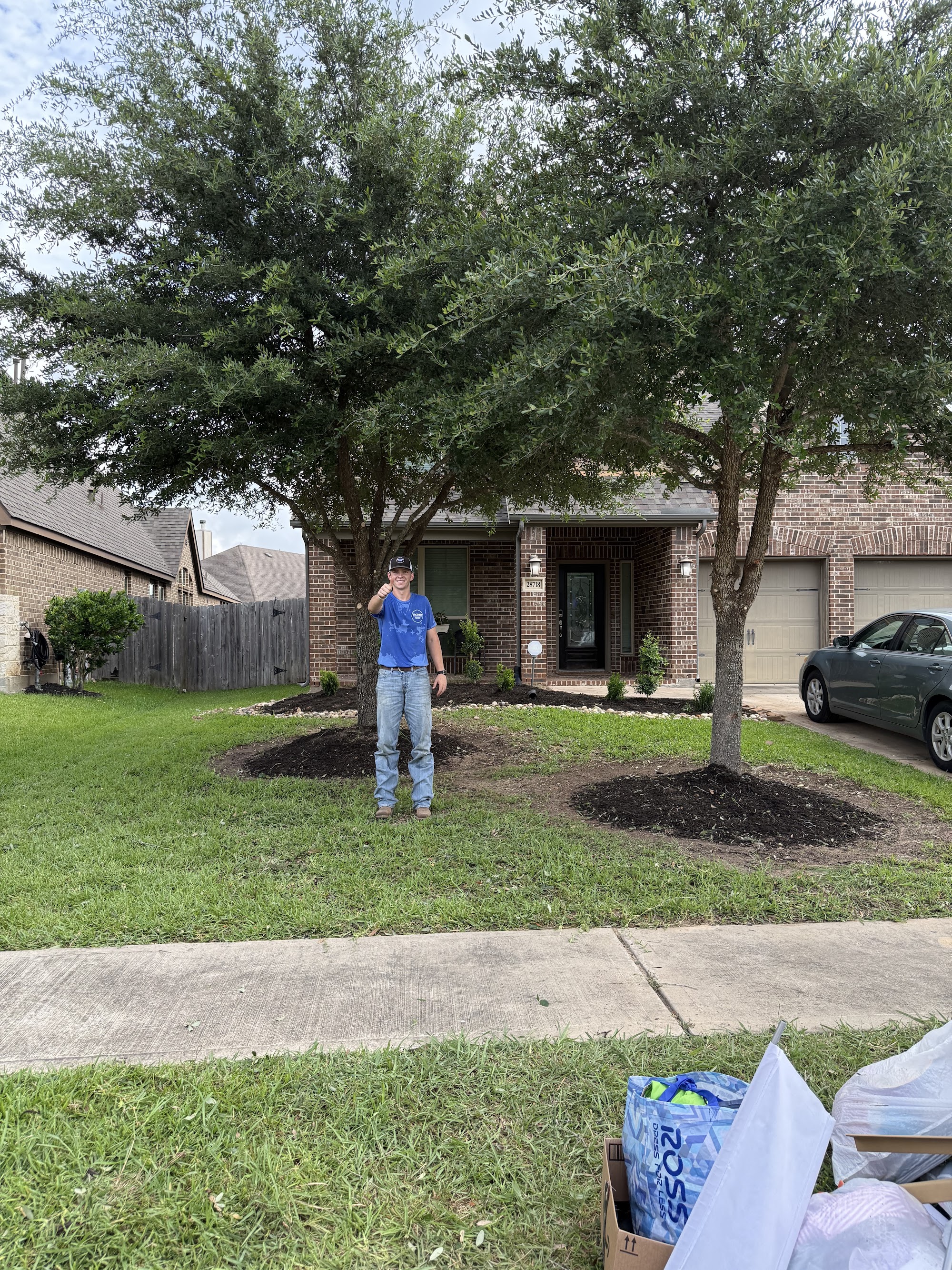 Tree Trimming in Katy