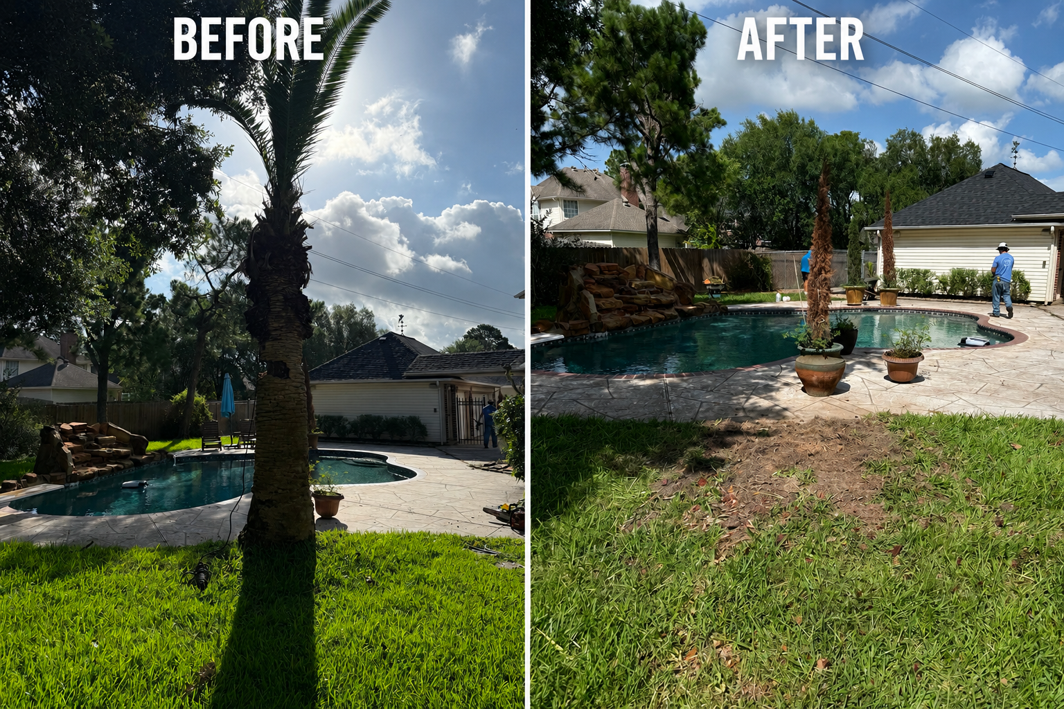Landscape Design & Installation in Katy
