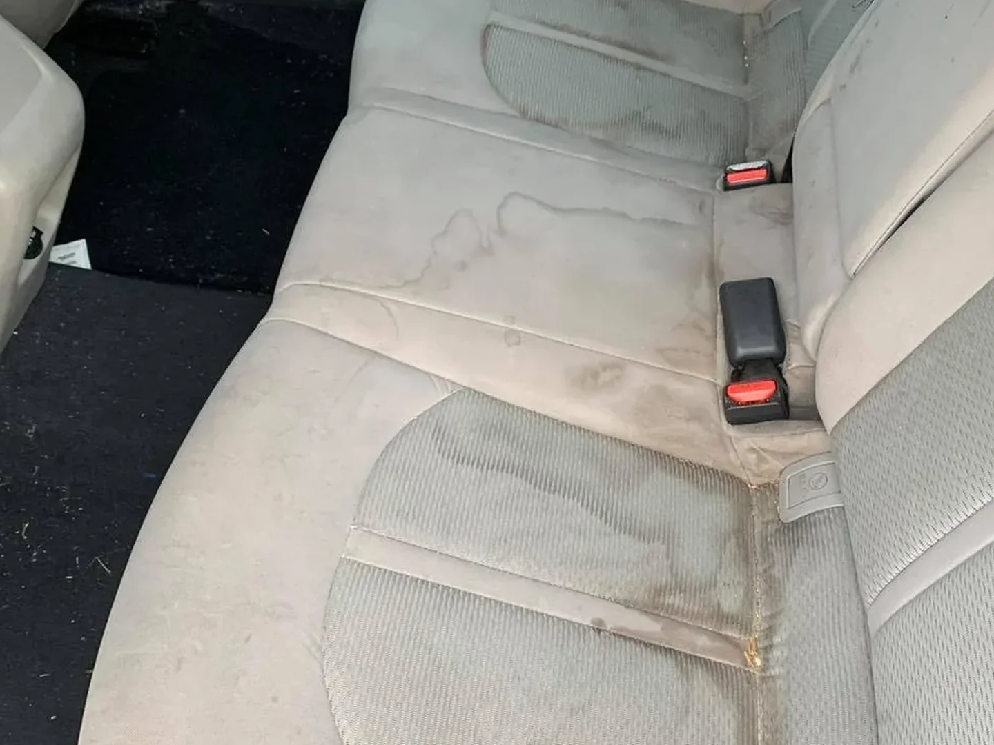 Before: Rear cloth seat before and after heated shampoo stain extraction