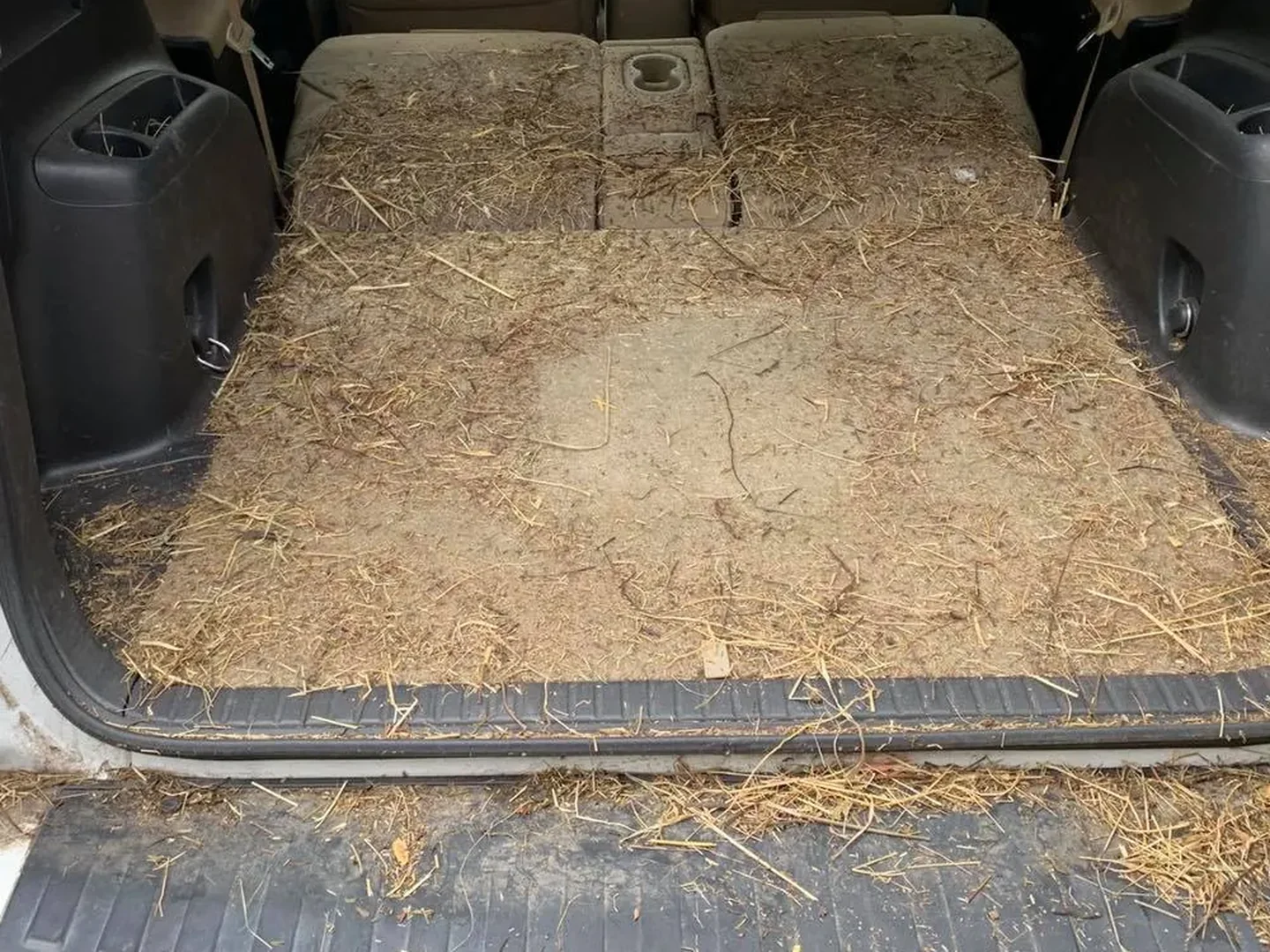 Before: SUV cargo trunk before and after deep vacuuming and brush cleaning