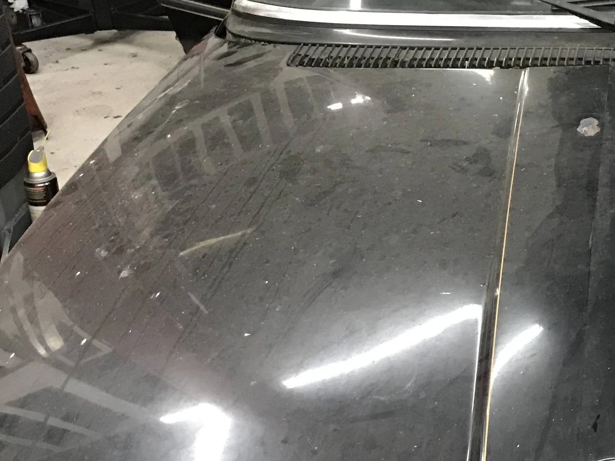 Before: 50/50 hood paint correction comparison showing swirled oxidized clearcoat transformed into mirror gloss ceramic finish