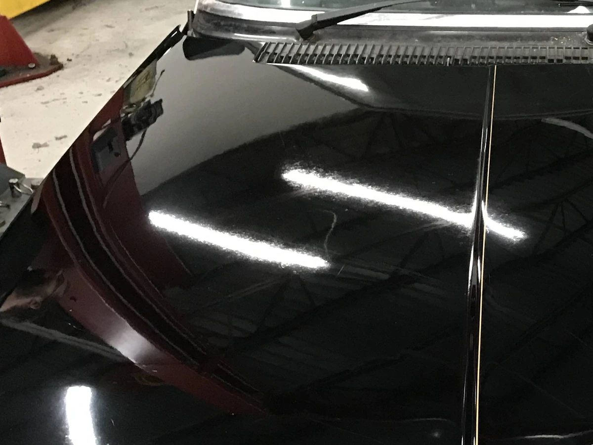 After: 50/50 hood paint correction comparison showing swirled oxidized clearcoat transformed into mirror gloss ceramic finish