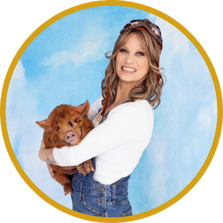 My Pigs Are Flying — Amy Turnbaugh