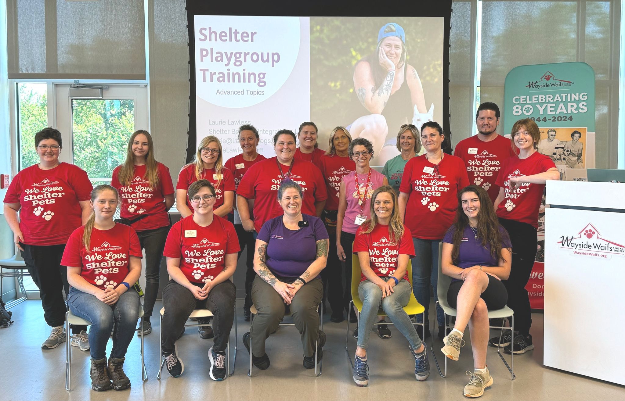 Dogs in shelter playgroup