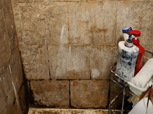 Mold Remediation icon