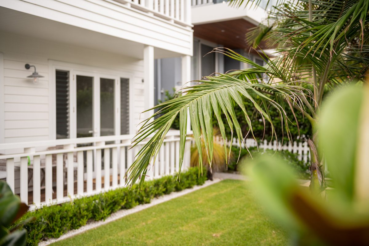 Fresh lawn and hedges