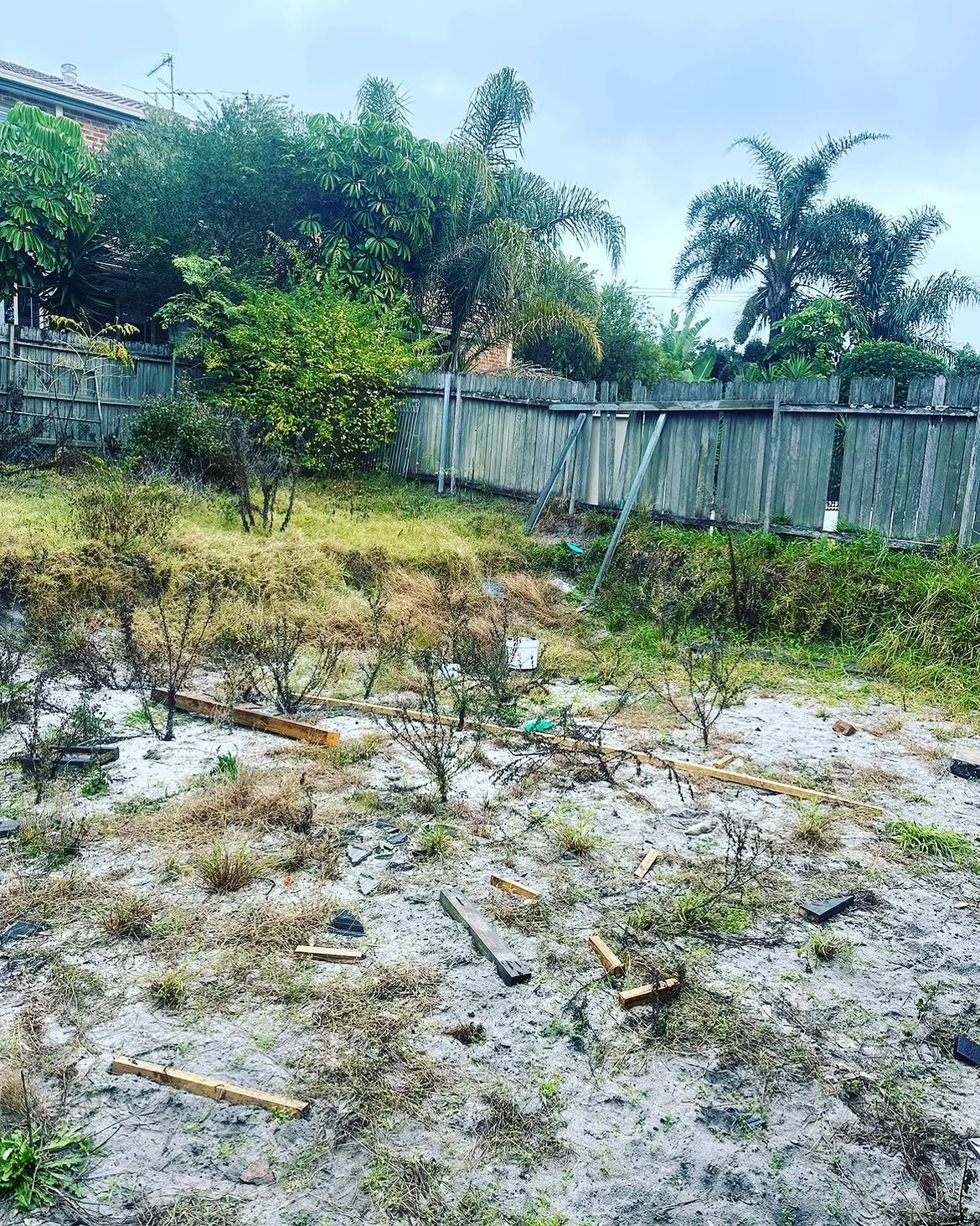 Backyard before returfing, sand and weeds