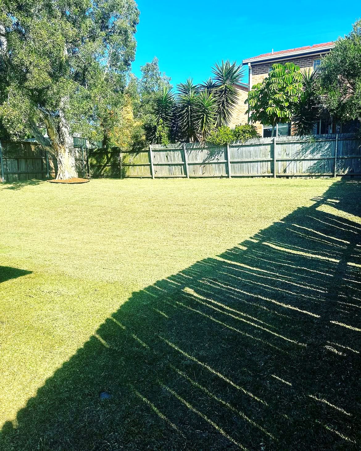 Same backyard after returfing, lush green lawn
