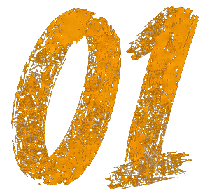 01