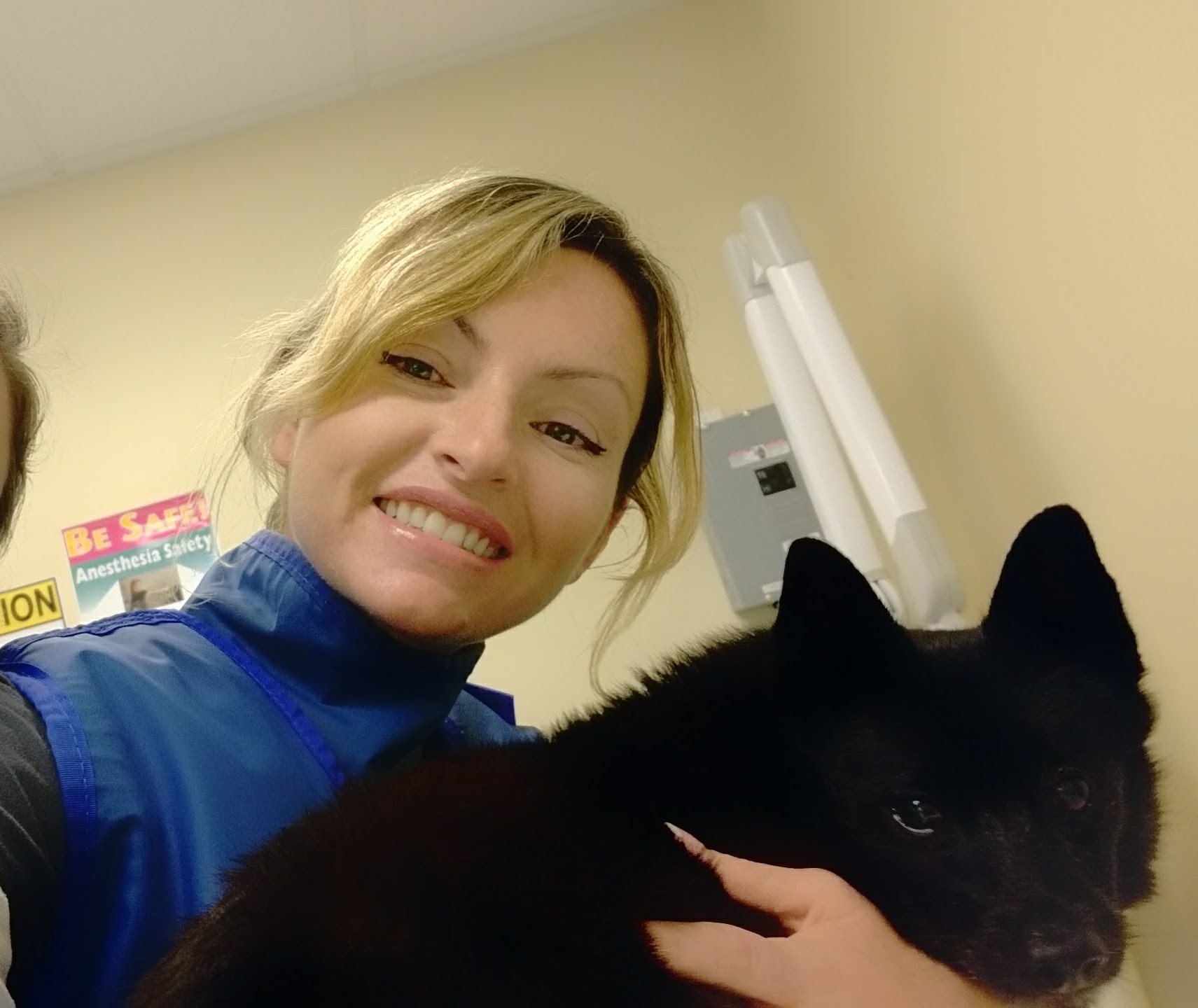 Pet Boarding Seaville