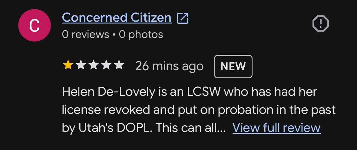Google dashboard showing the Concerned Citizen review posted 26 minutes ago.