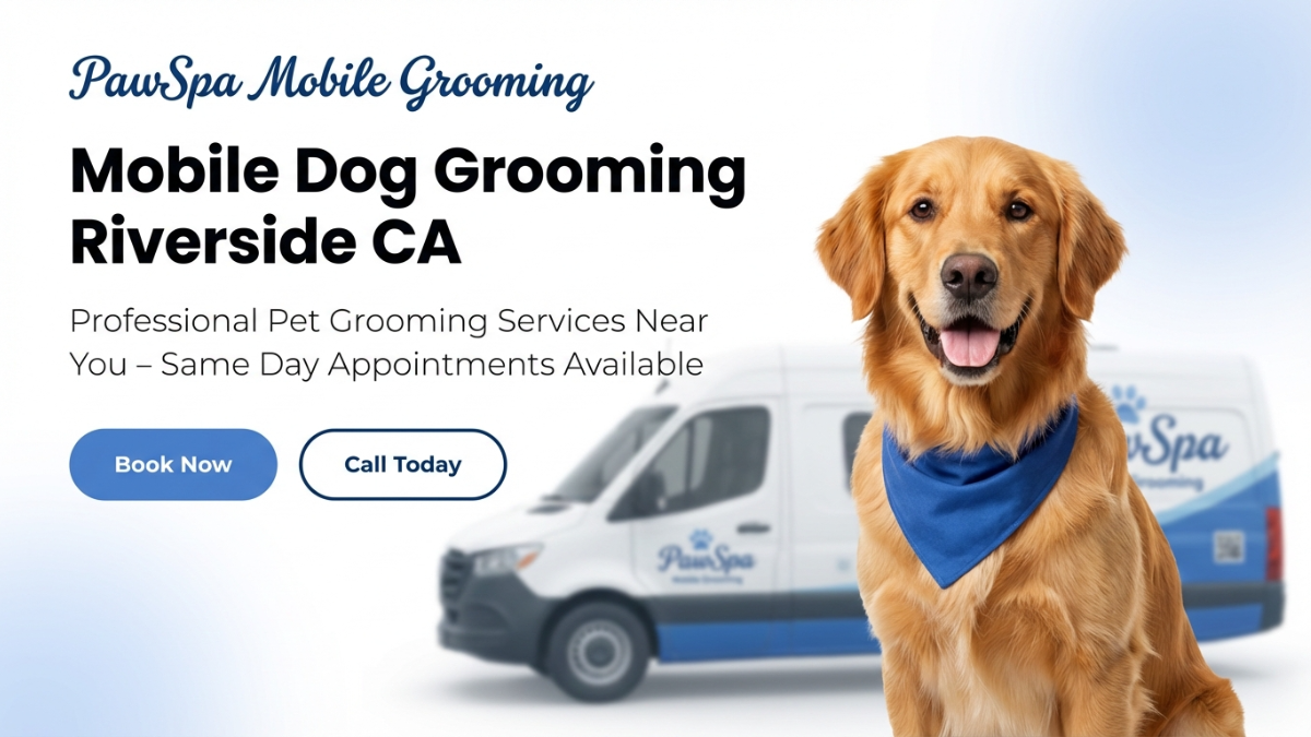 Client 9