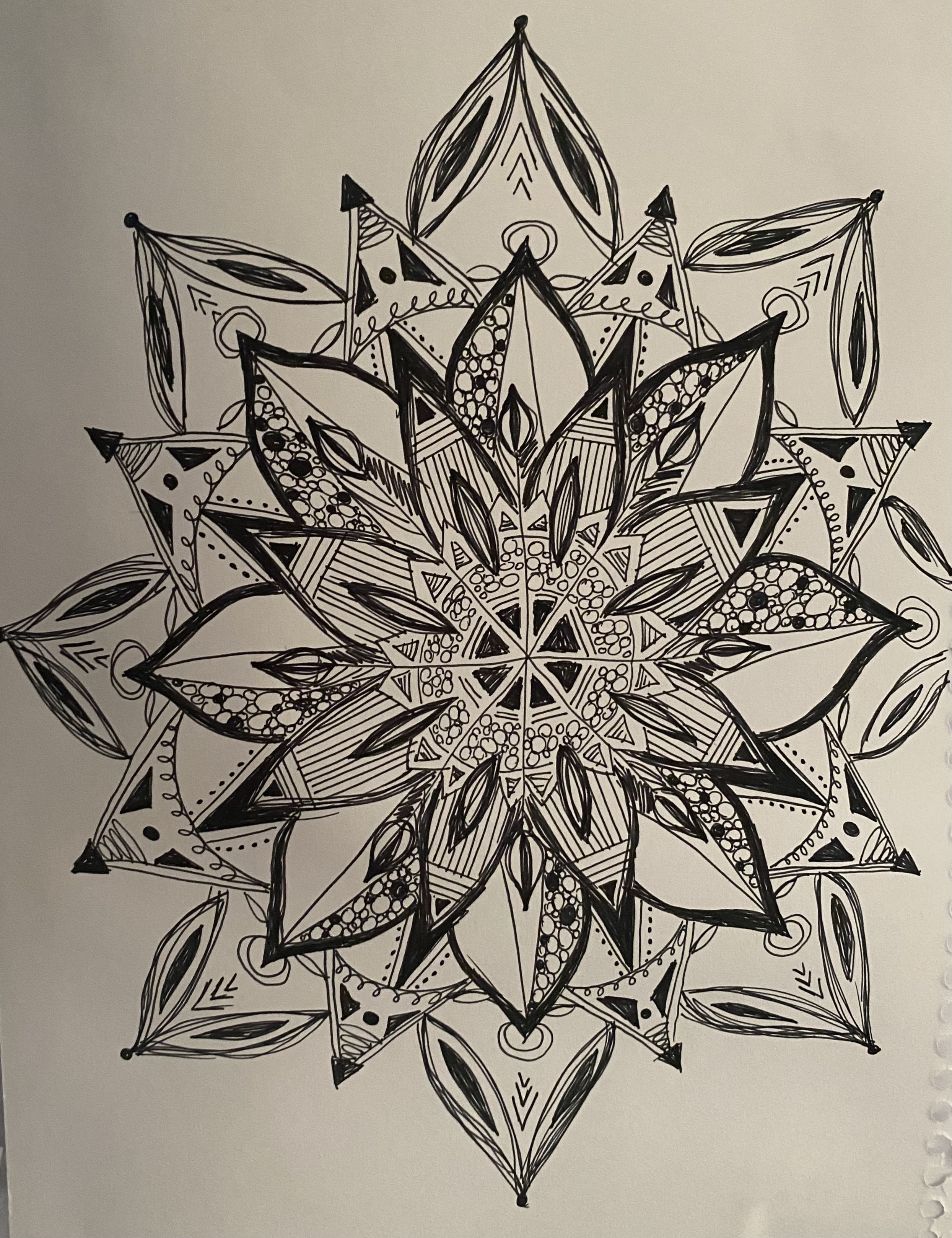 Black Ink Study XI by Anna Chittick