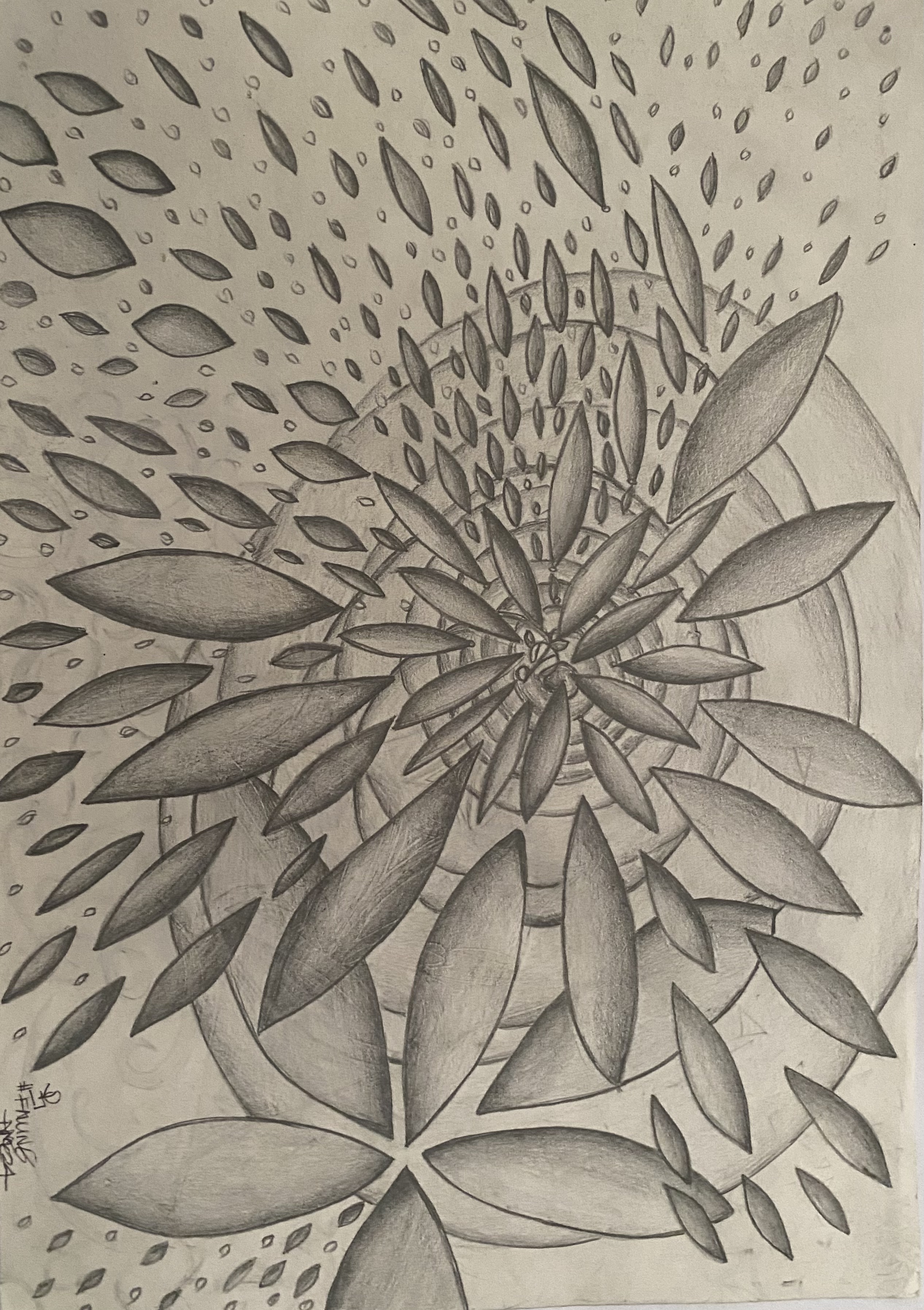 Pencil Study VIII by Anna Chittick