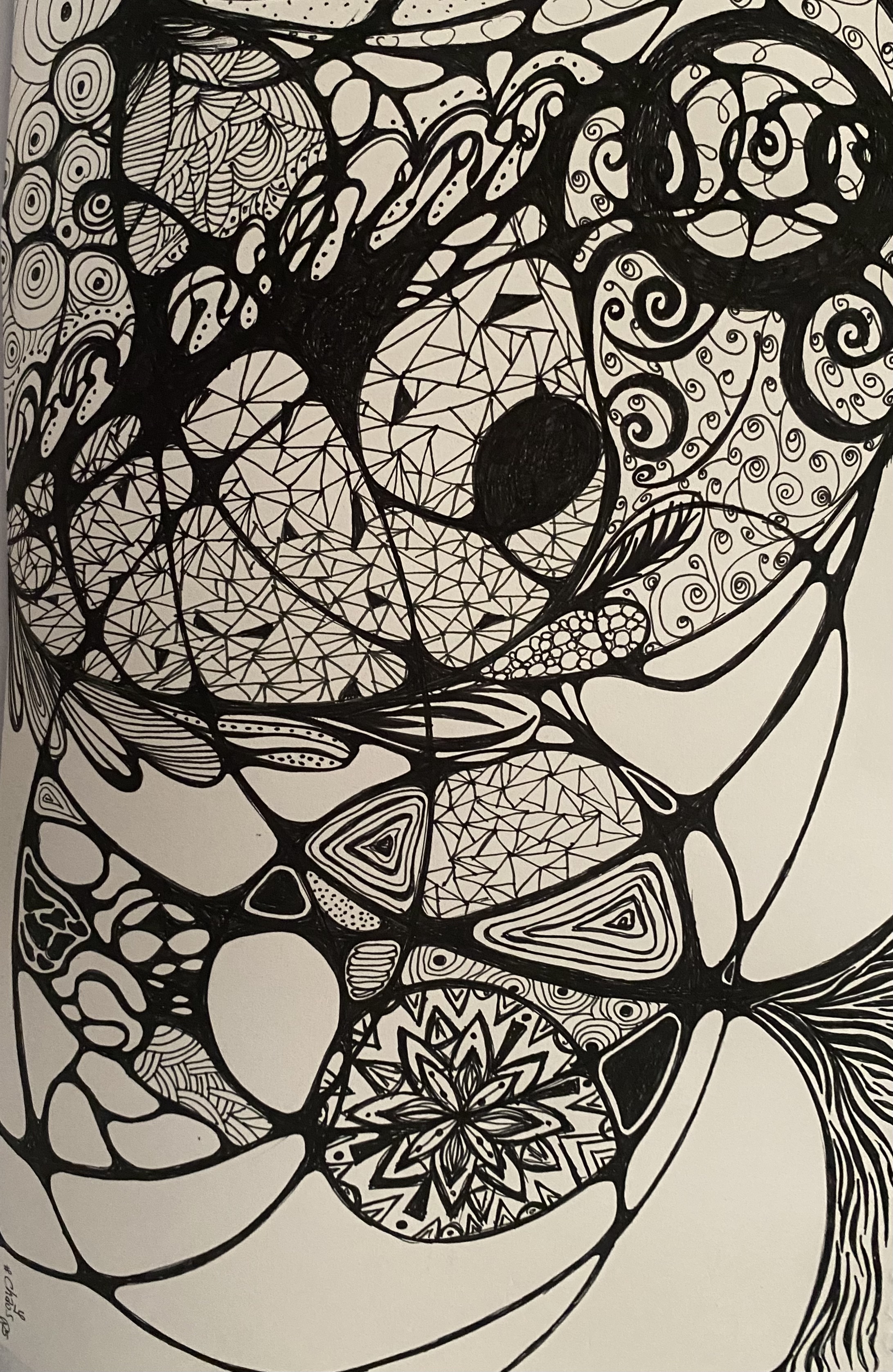 Black Ink Study IV by Anna Chittick