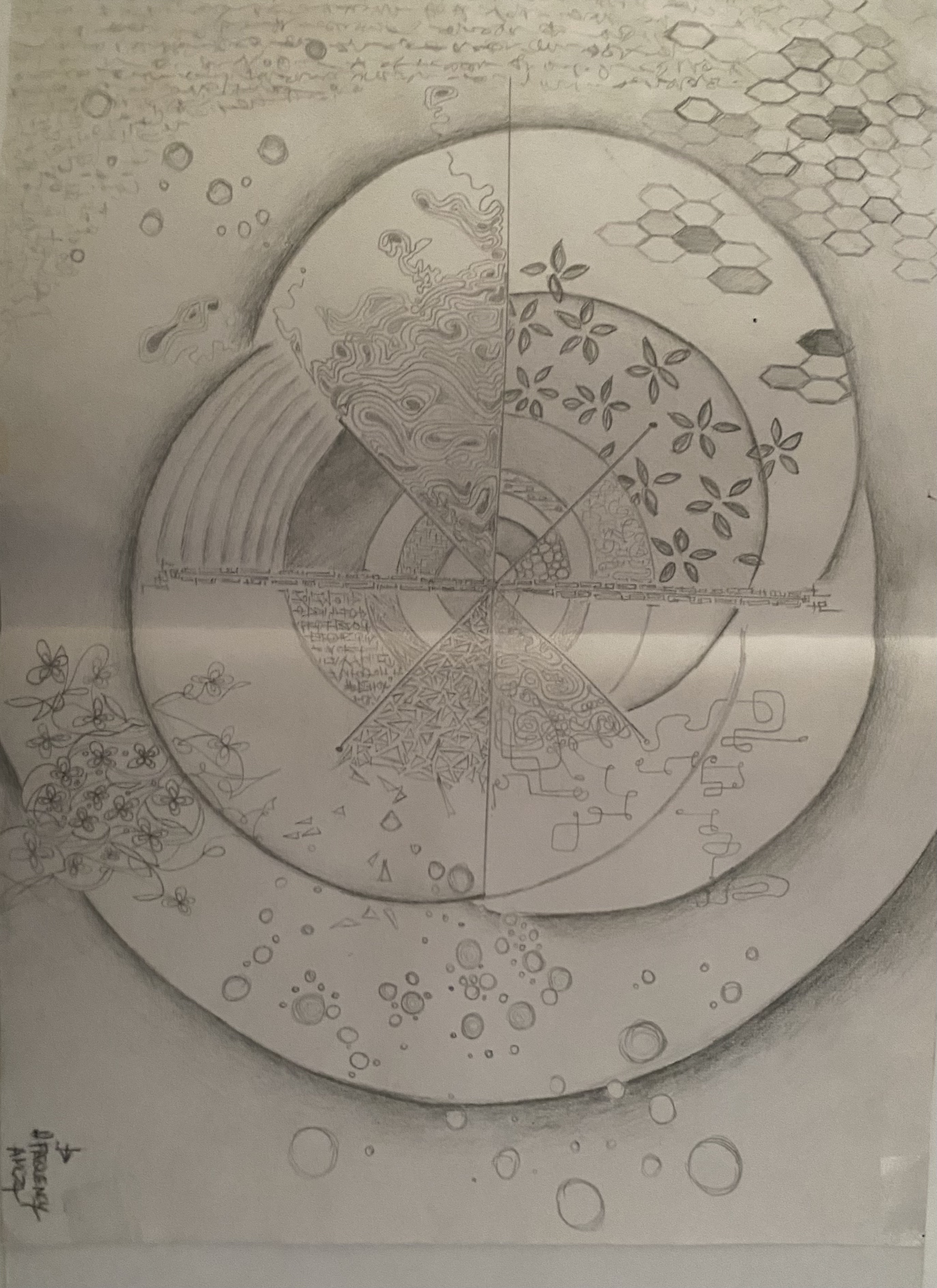 Pencil Study XIII by Anna Chittick