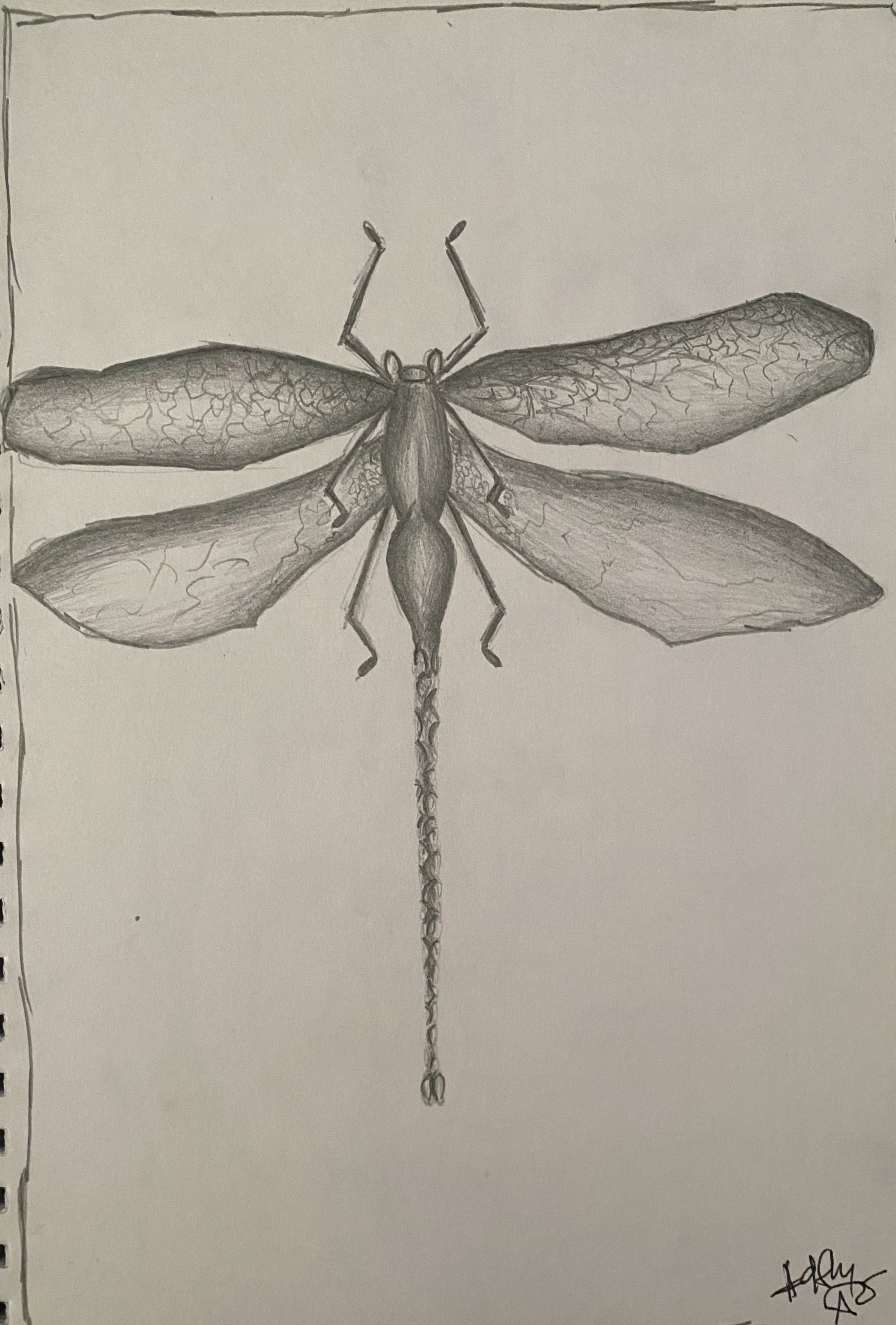 Pencil Study IX by Anna Chittick