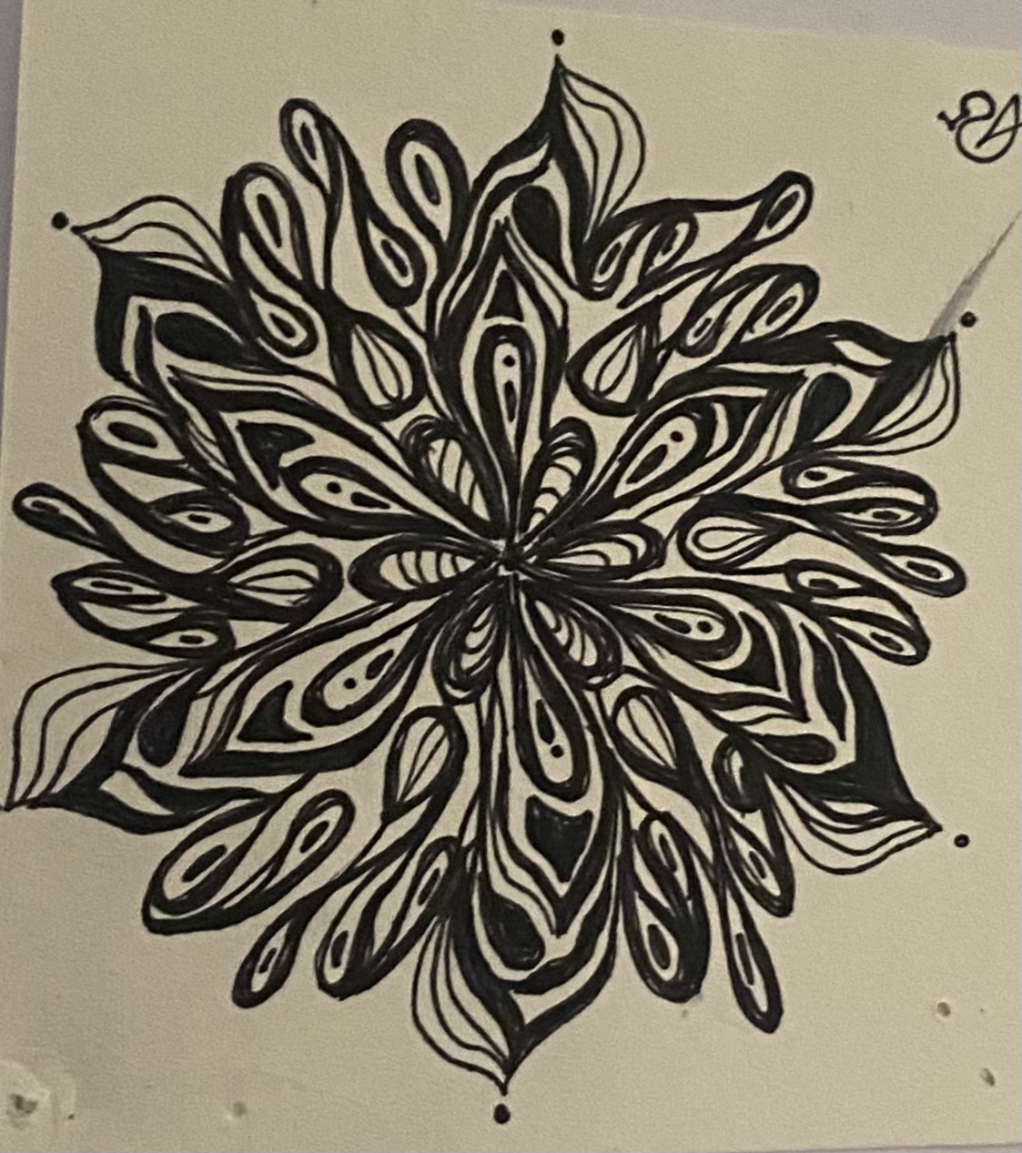 Black Ink Study XIII by Anna Chittick
