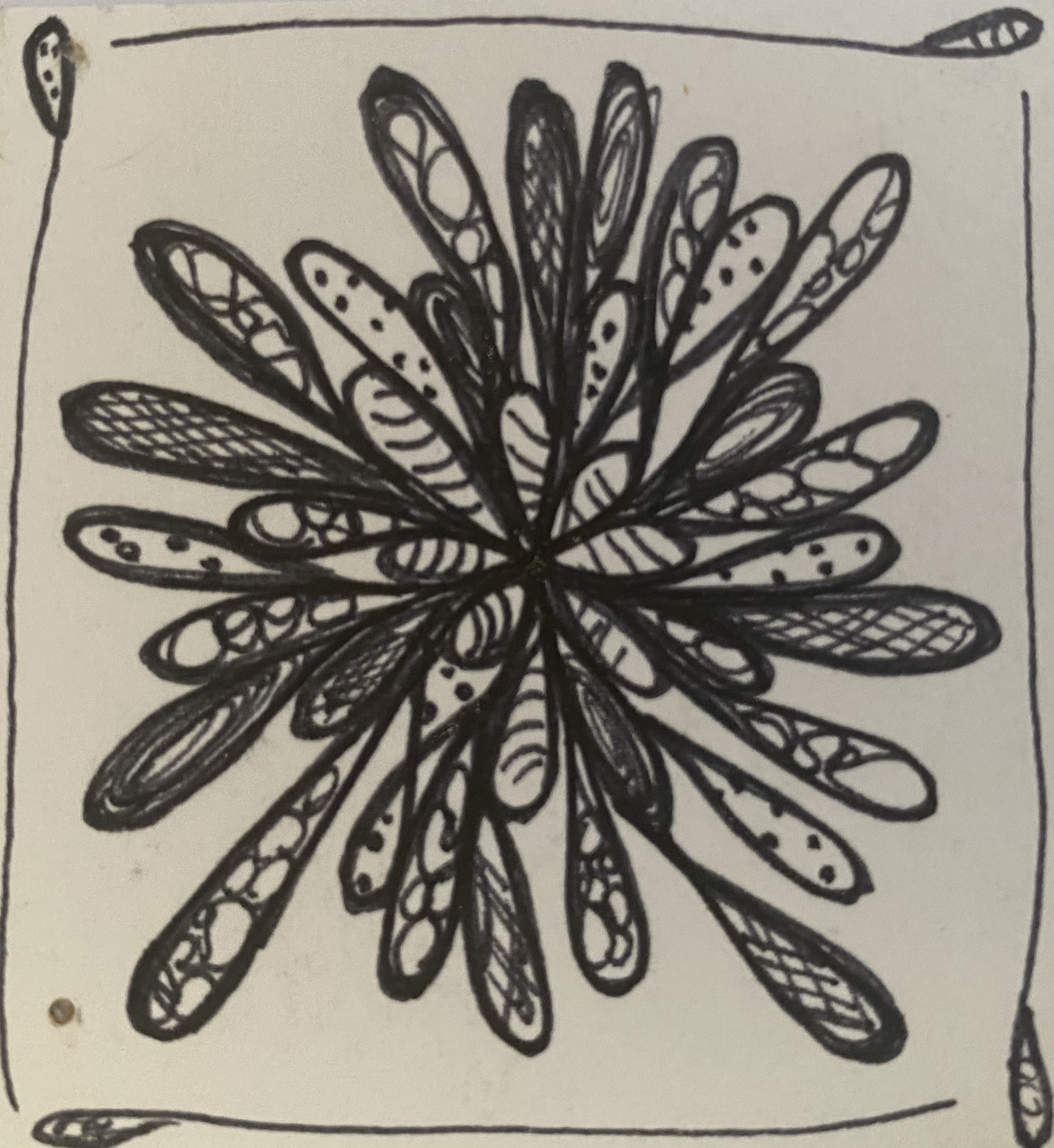 Black Ink Study II by Anna Chittick