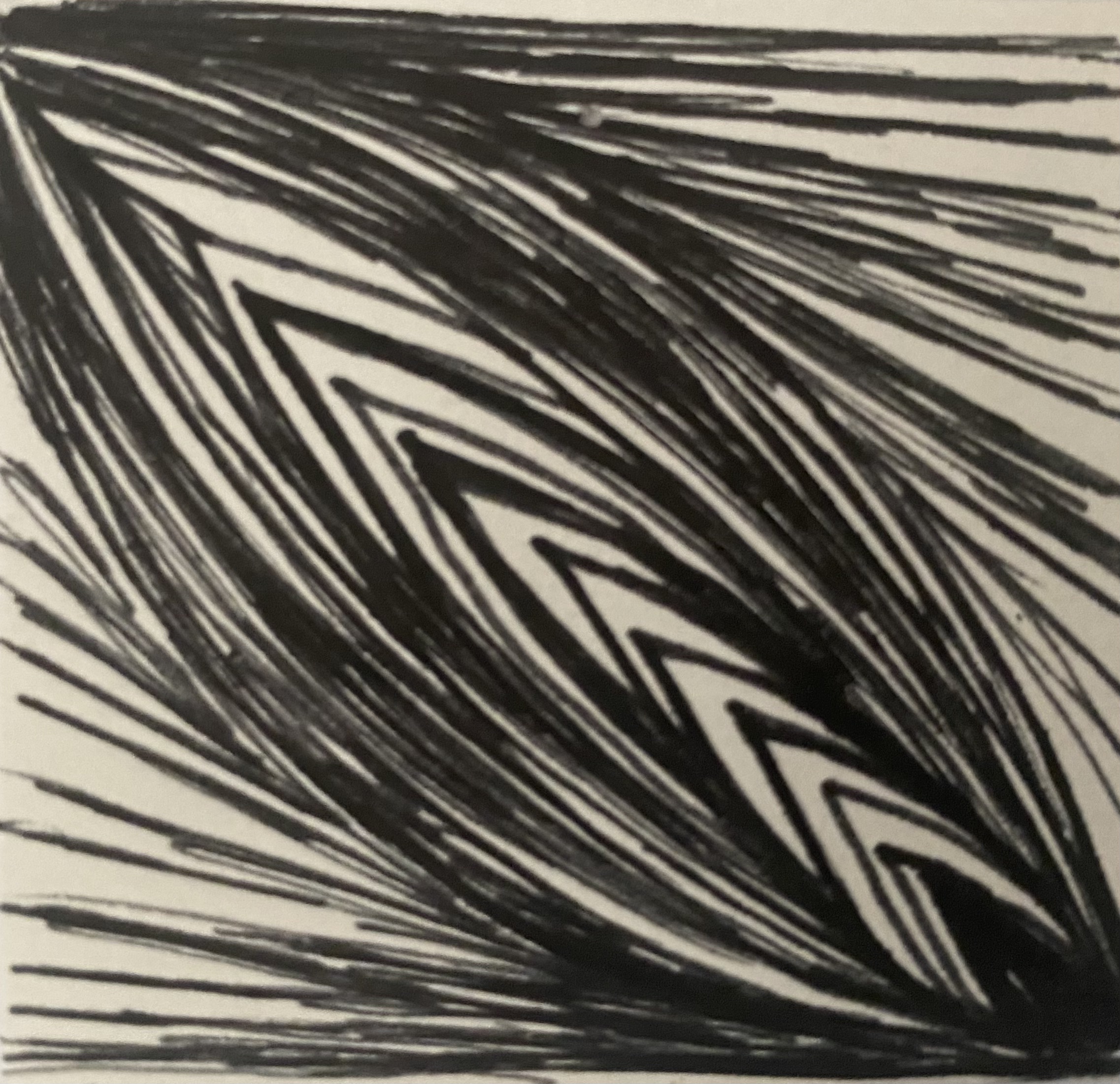 Black Ink Study III by Anna Chittick