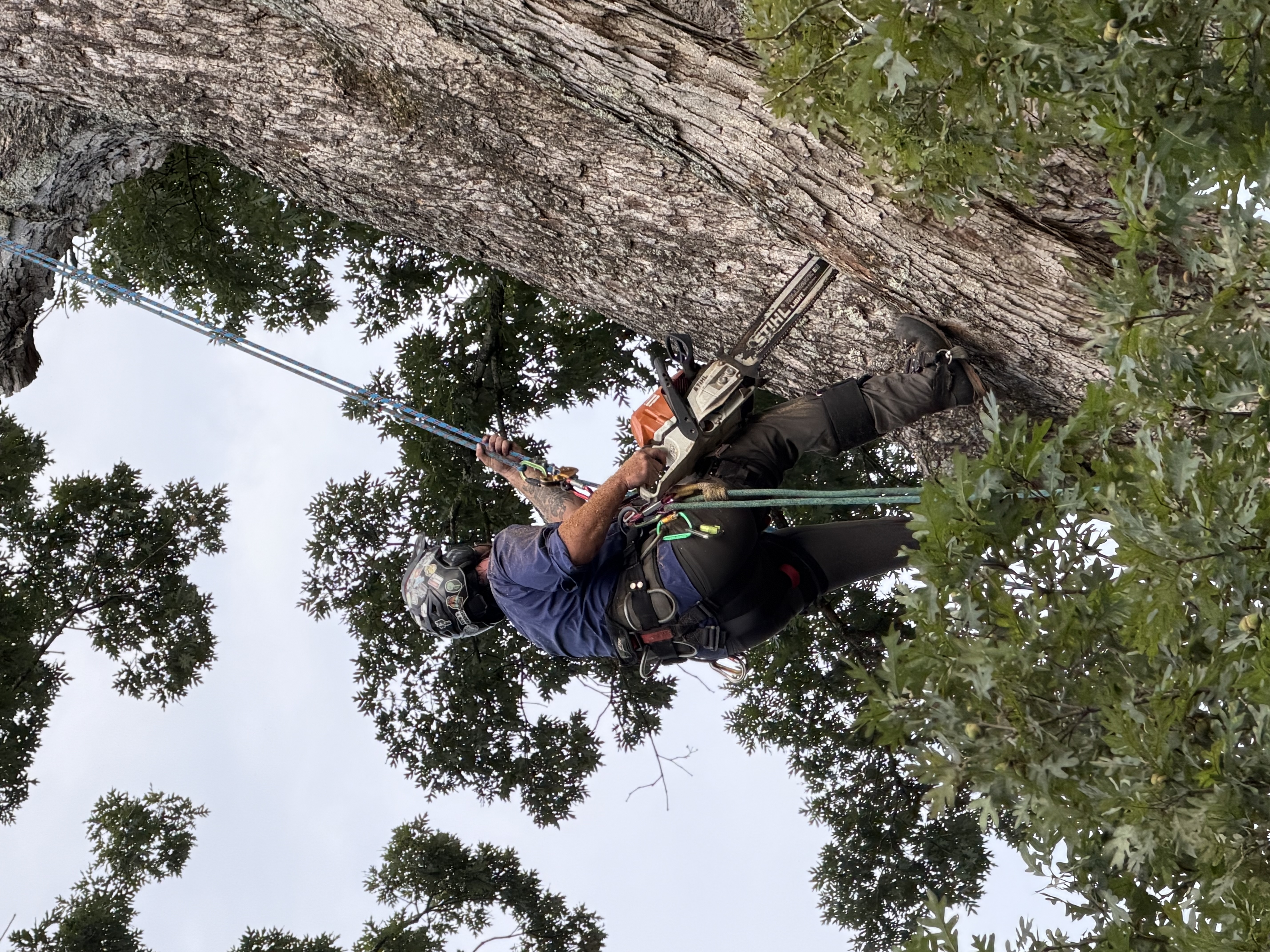 Working a limb by hand