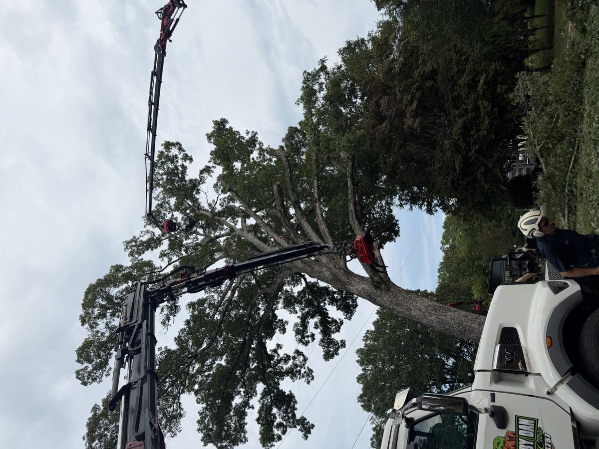 Working over a house
