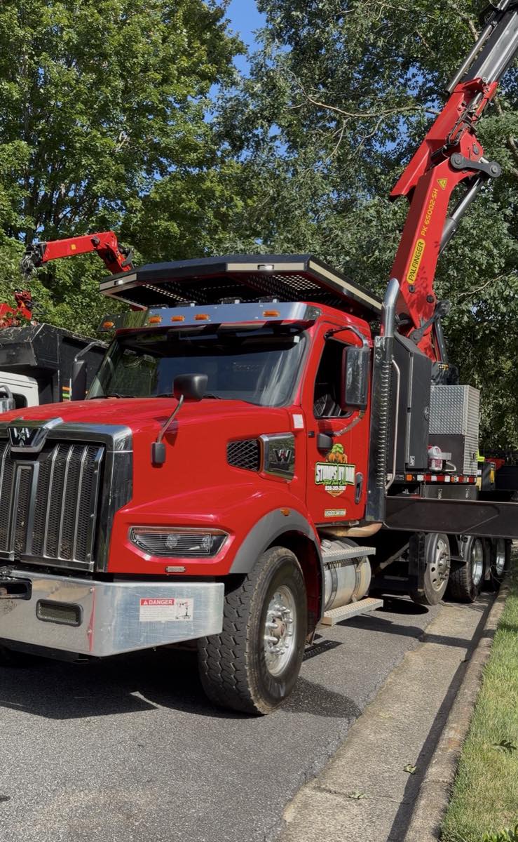 Working truck and crane