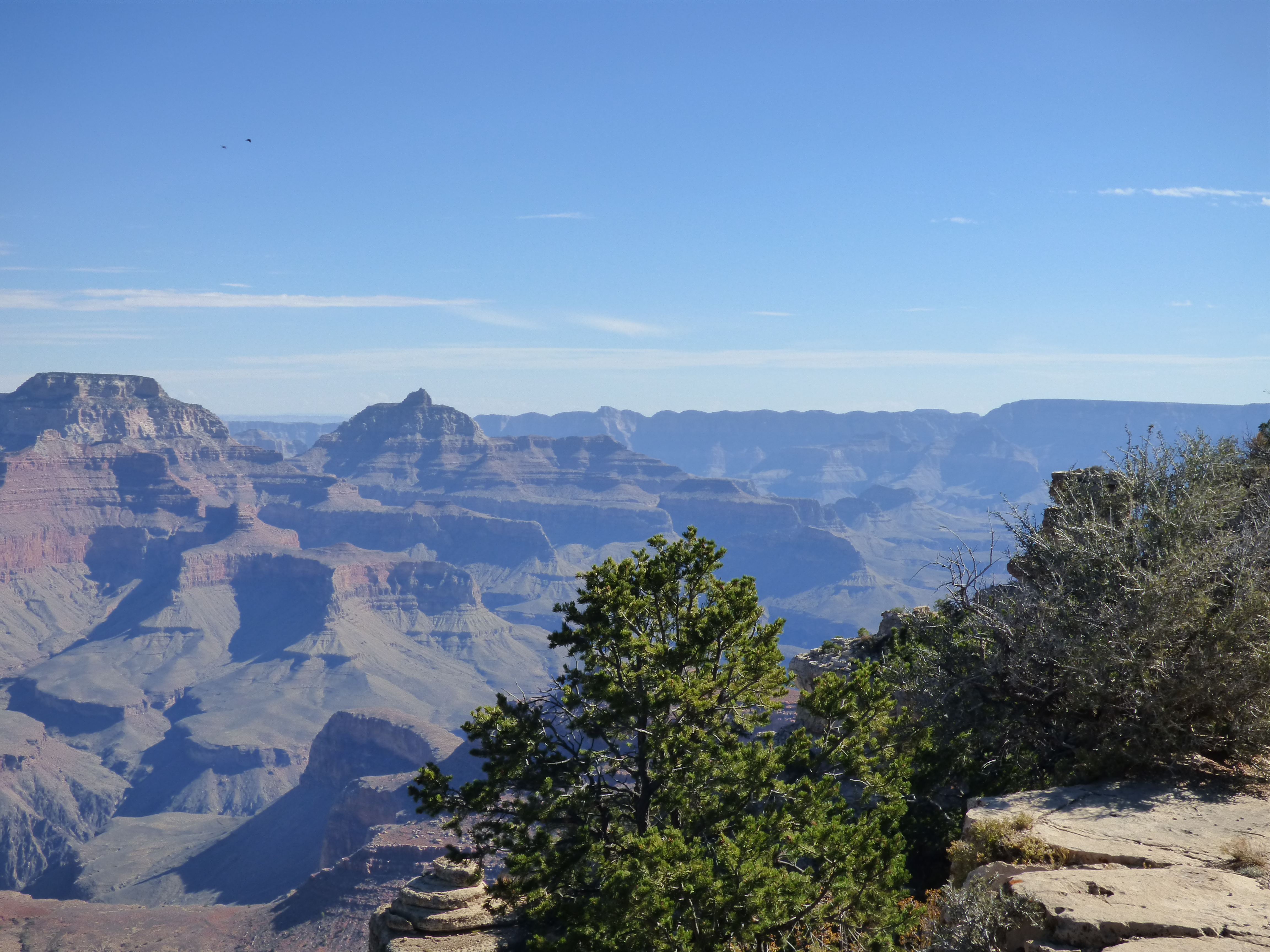 Panoramic view of the Grand Canyon in Arizona with layered red rock cliffs, desert vegetation, and a clear blue sky.