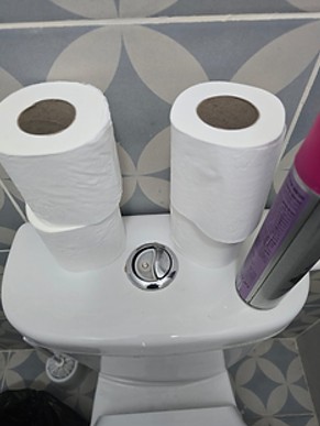 Dual-flush toilet with two buttons and toilet paper rolls, illustrating water-saving bathroom design common in Europe. Dual-flush toilet with two buttons and toilet paper rolls, illustrating water-saving bathroom design common in Europe.