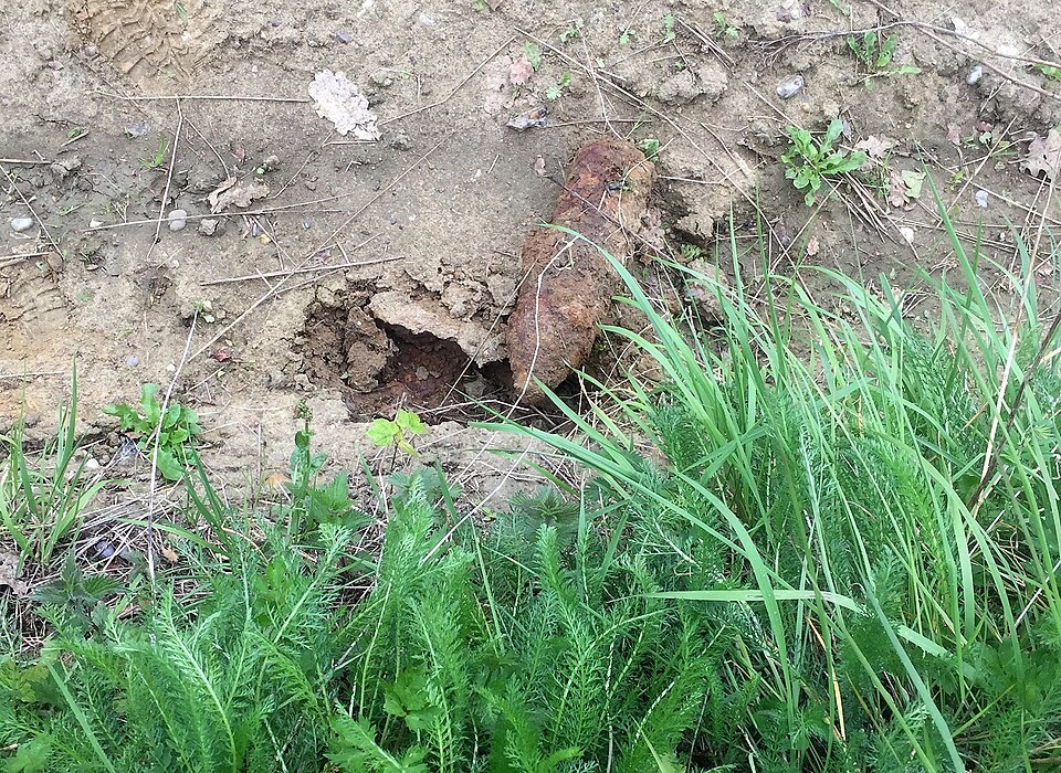 Unexploded World War I battlefield artifact partially buried in soil near Hill 60 in Ypres, Belgium.