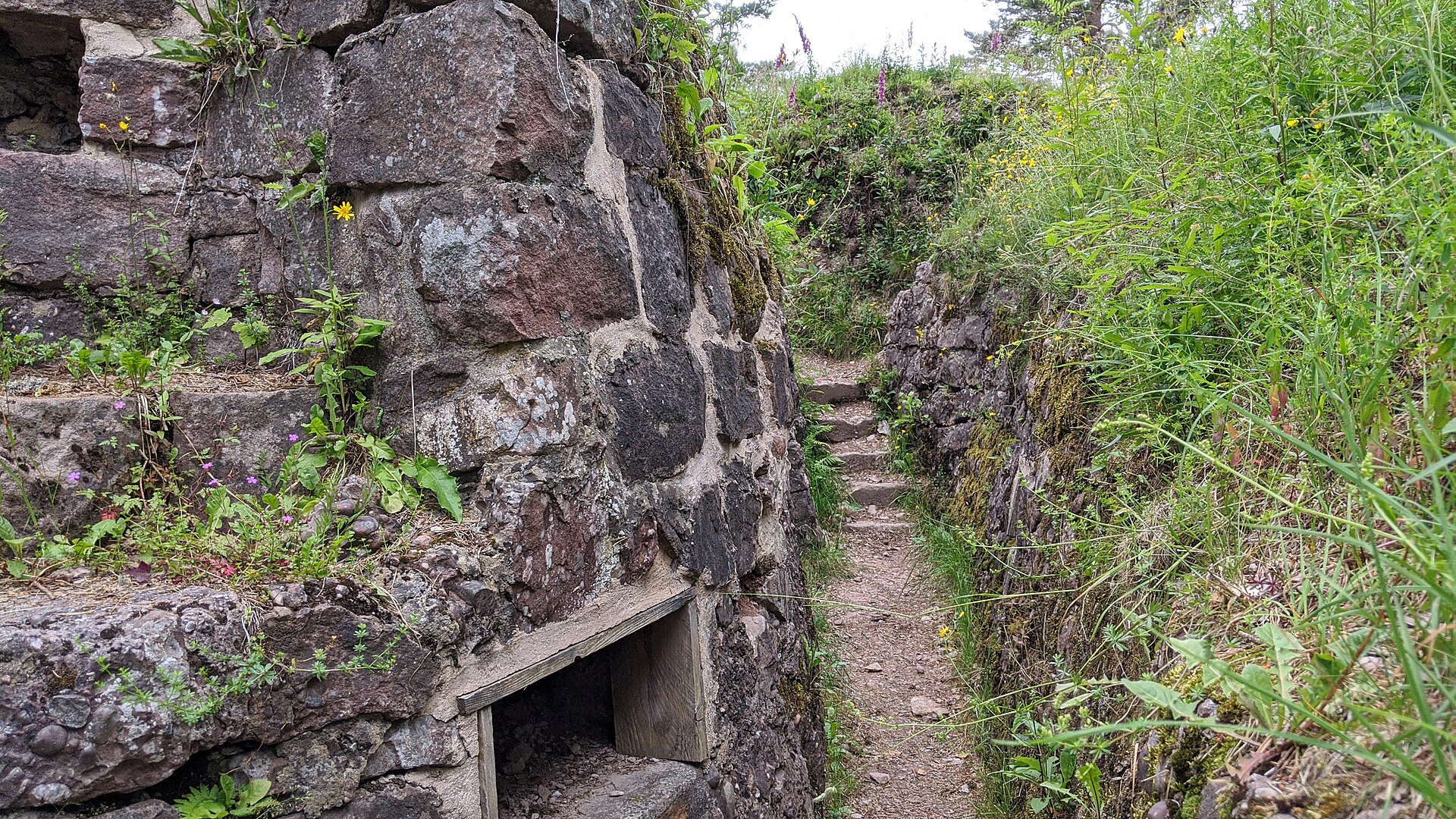 Overgrown World War I trench pathways and stone fortifications at the Linge Memorial in Alsace, France.