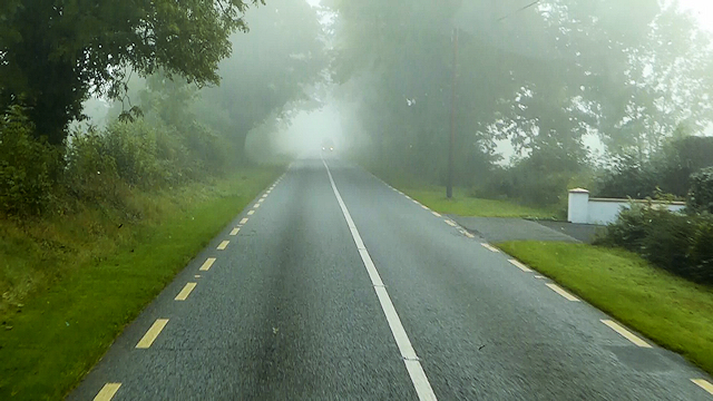 Mist-covered N51 road near Athboy in County Meath, Ireland, surrounded by trees and greenery. Mist-covered N51 road near Athboy in County Meath, Ireland, surrounded by trees and greenery.