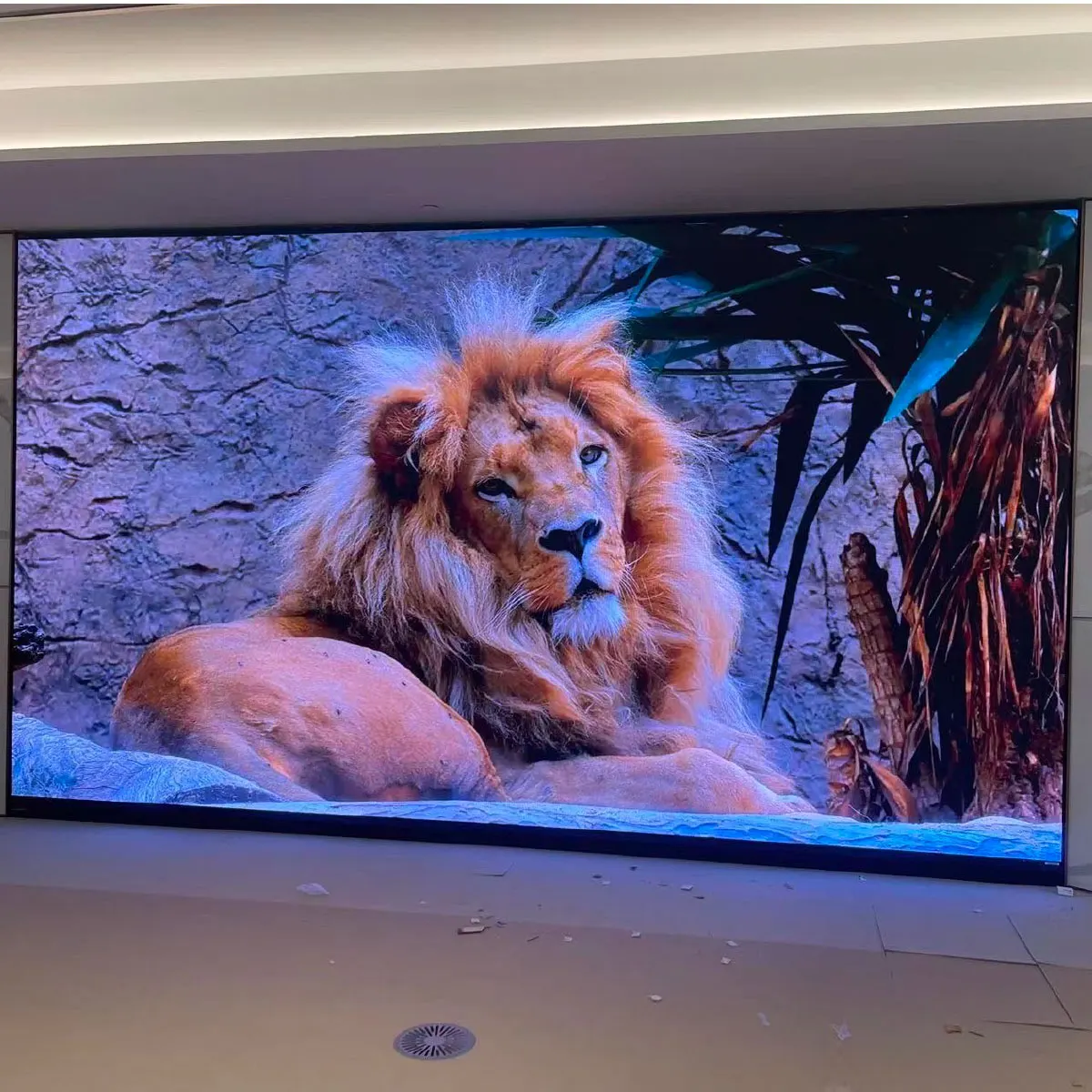 Large indoor LED wall