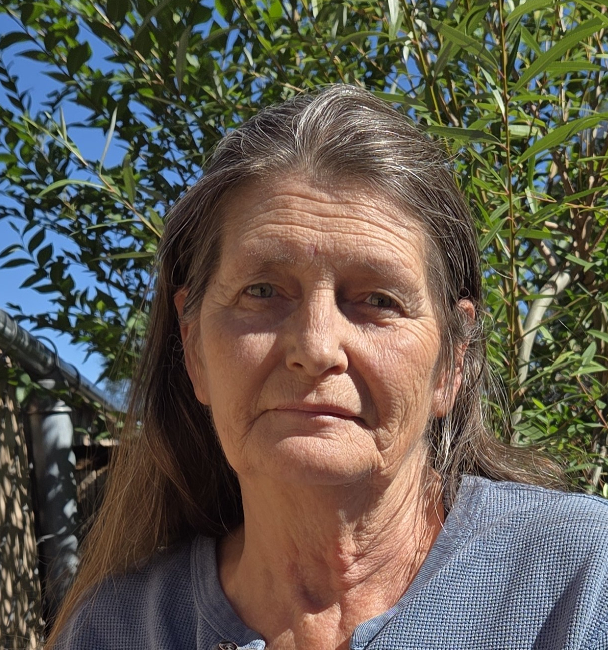 Dawn Andrews