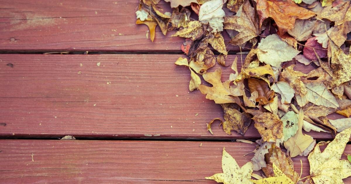 deck in a fall weather
