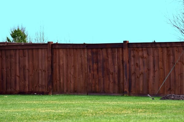 Tall wooden privacy fence with a rich brown stain bordering a green backyard lawn Tall wooden privacy fence with a rich brown stain bordering a green backyard lawn