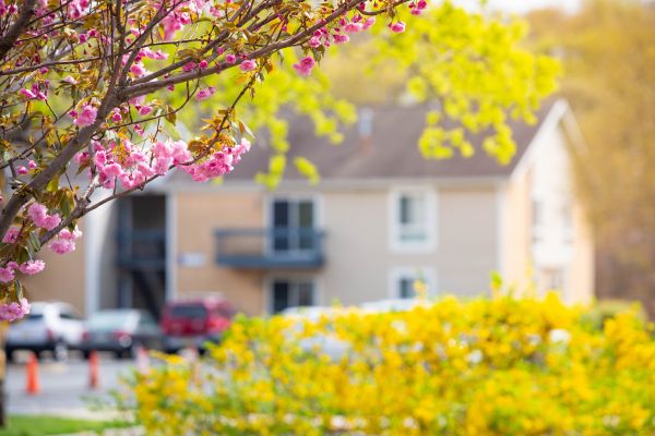 spring season in kansas city