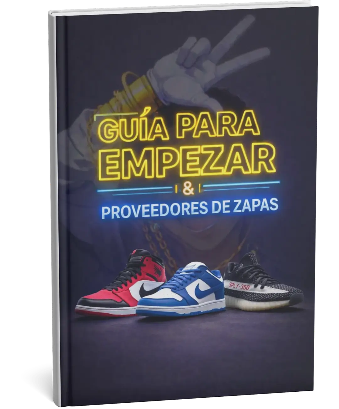 Guía Zapatillas