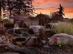 Landscaping in San Antonio