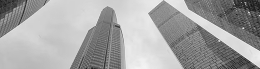 Finance Advisory