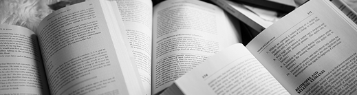 cheeky scribe