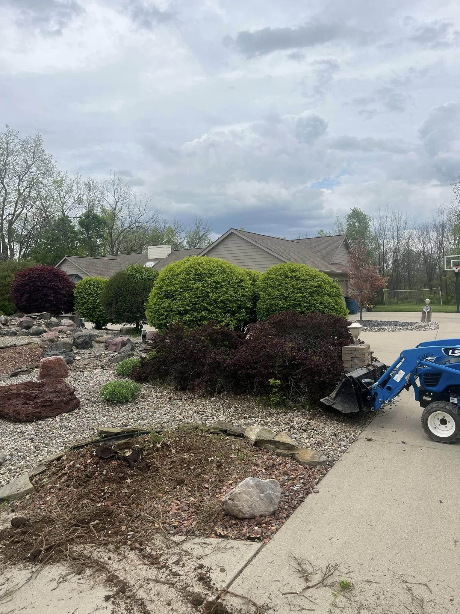 Bryan Bush Trimming & Removal