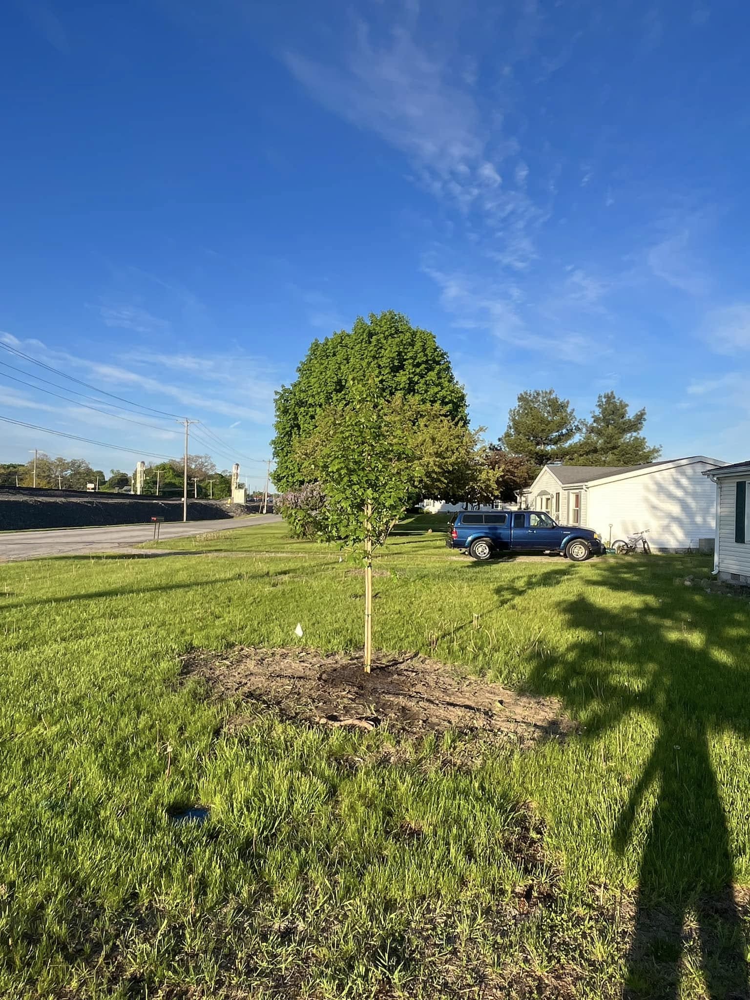 Bryan Tree Planting
