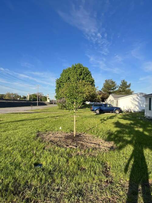  Landscaping